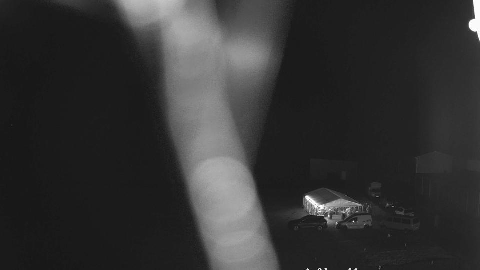 Webcam live 
