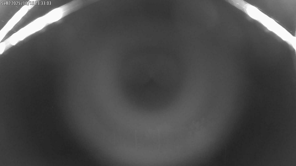 Webcam live 