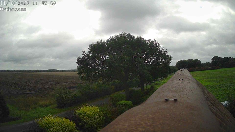 Webcam live 