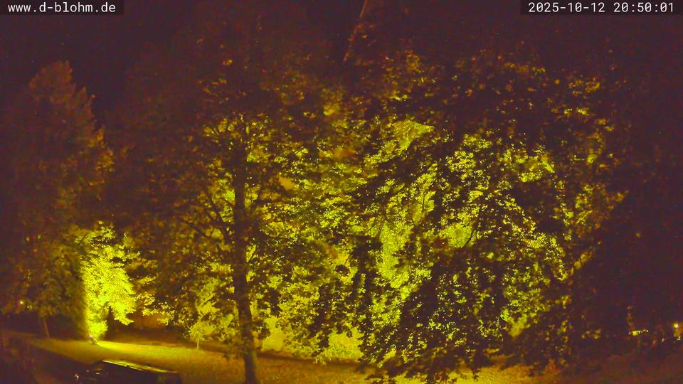 Webcam live 