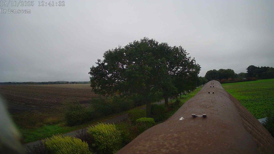 Webcam live 