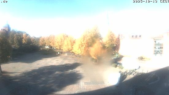 Webcam live 