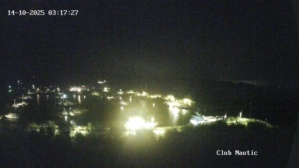 Webcam live 