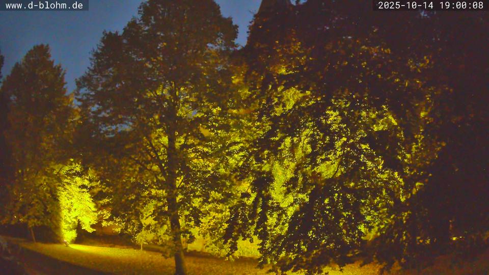 Webcam live 