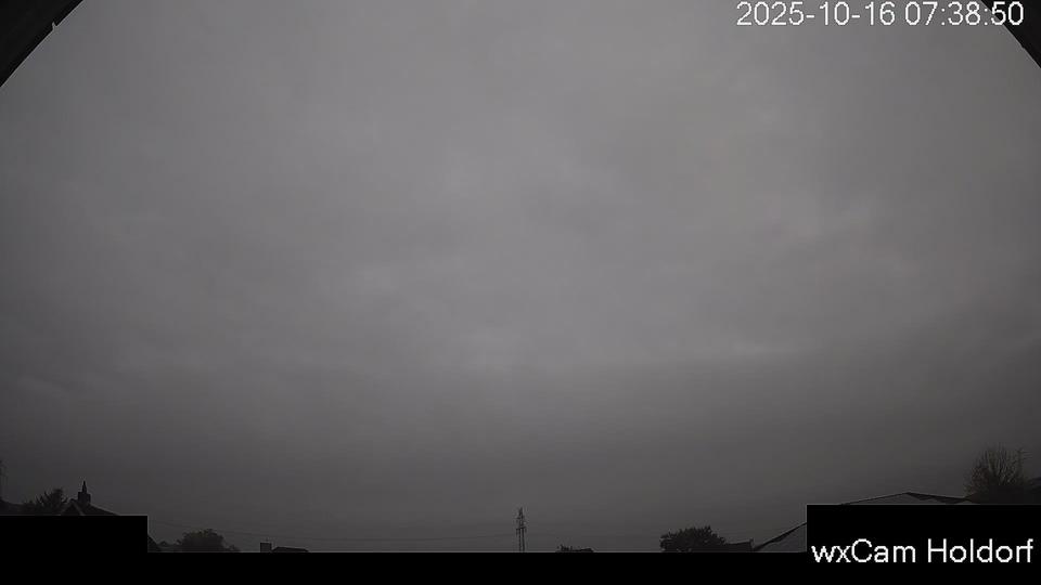 Webcam live 