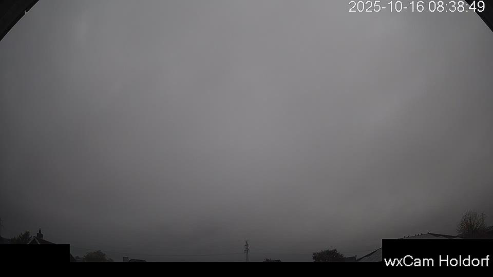 Webcam live 