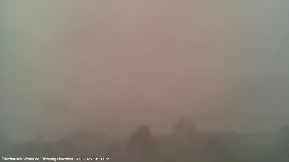 Webcam live 