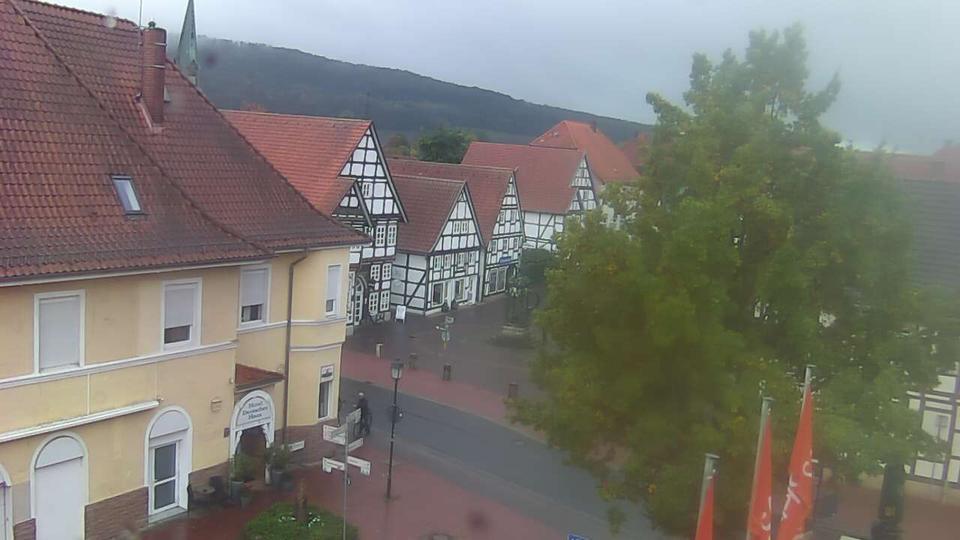 Webcam live 