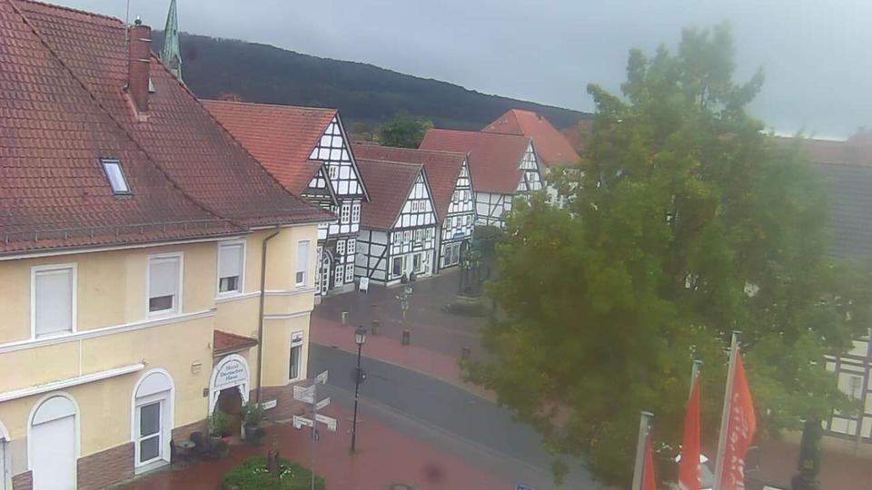Webcam live 