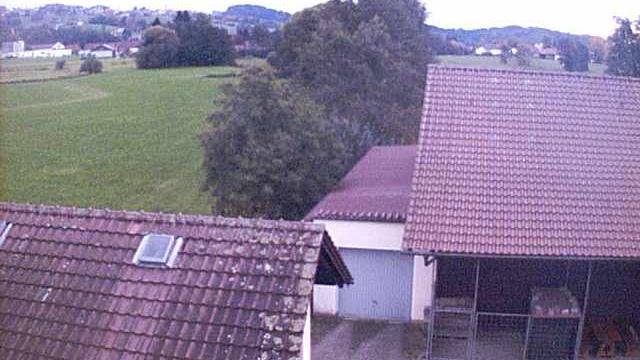 Webcam live 
