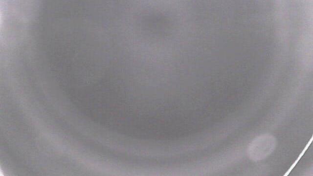 Webcam live 