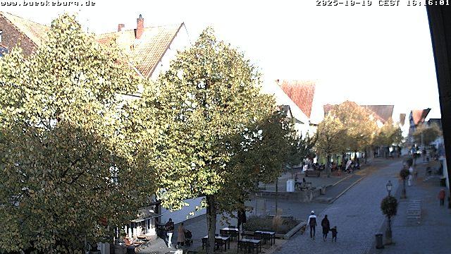 Webcam live 
