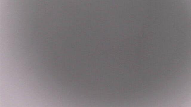 Webcam live 
