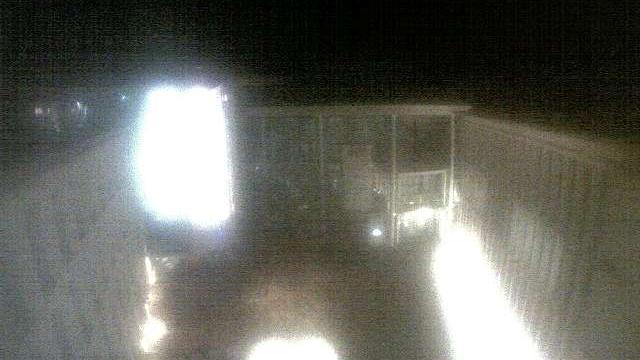 Webcam live 