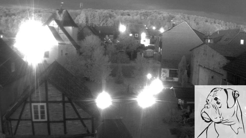 Webcam live 