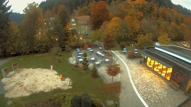 Webcam live 