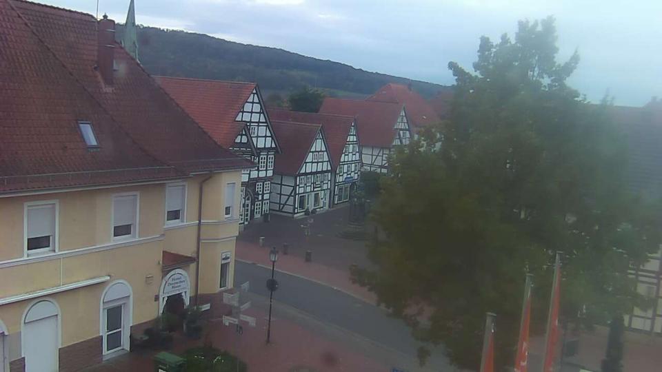 Webcam live 