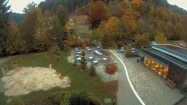 Webcam live 