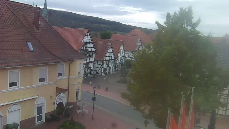 Webcam live 