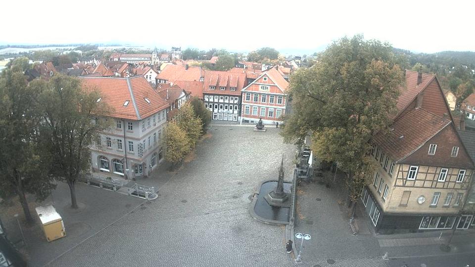 Webcam live 