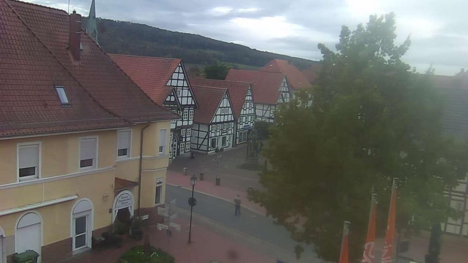 Webcam live 