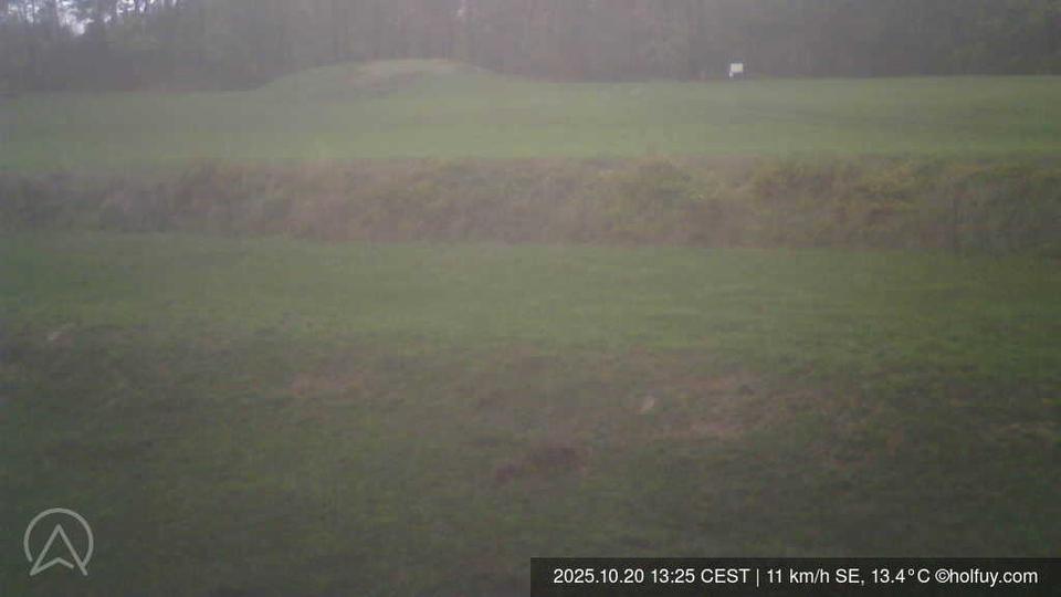 Webcam live 
