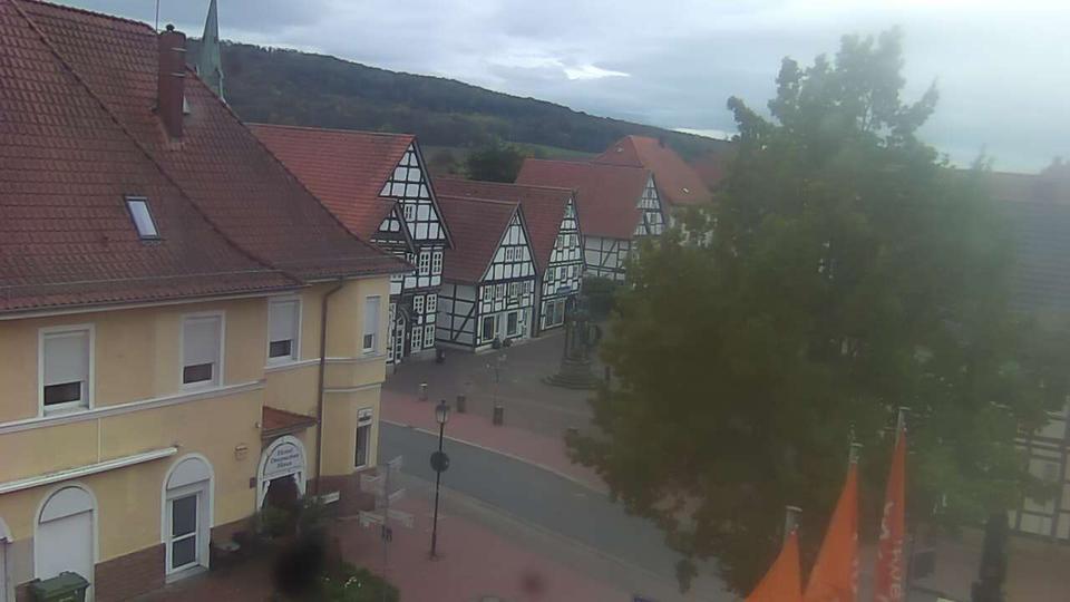 Webcam live 