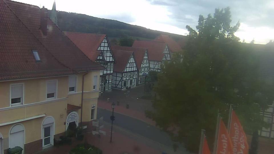 Webcam live 