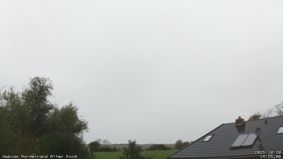 Webcam live 