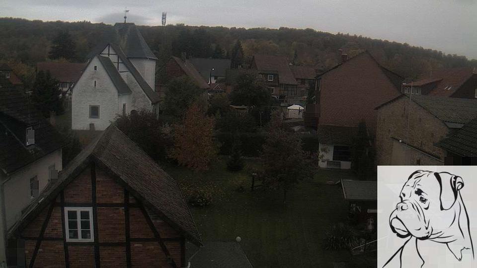 Webcam live 