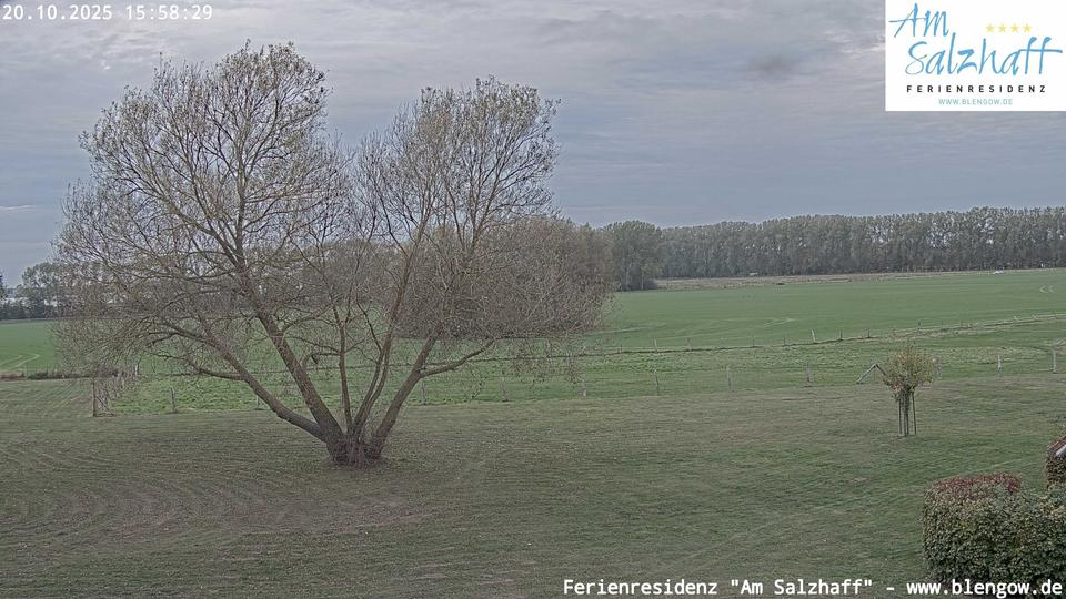 Webcam live 