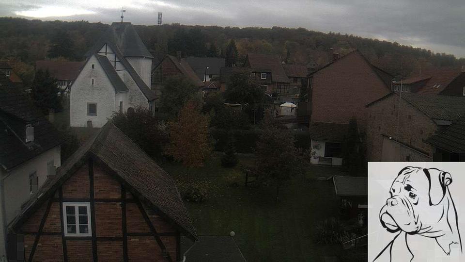 Webcam live 