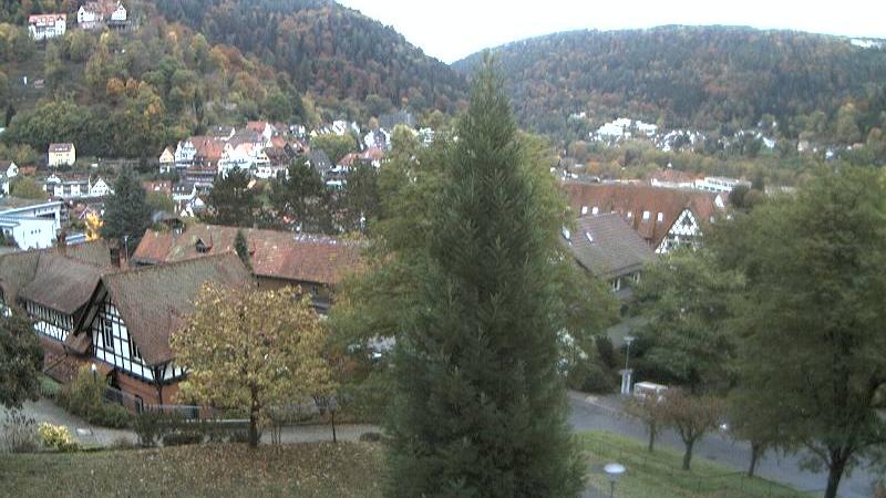 Webcam live 