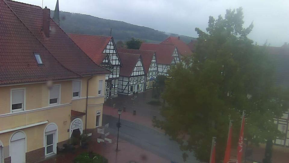Webcam live 