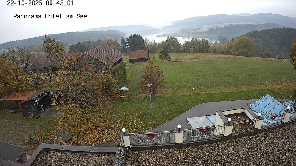 Webcam live 