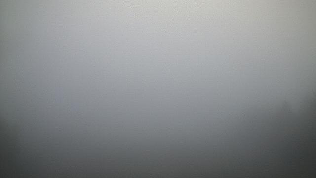 Webcam live 