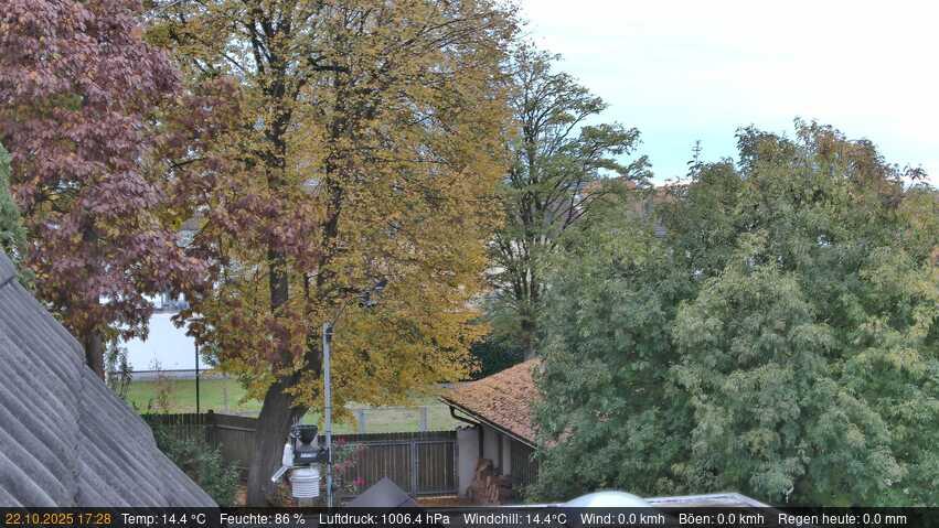 Webcam live 
