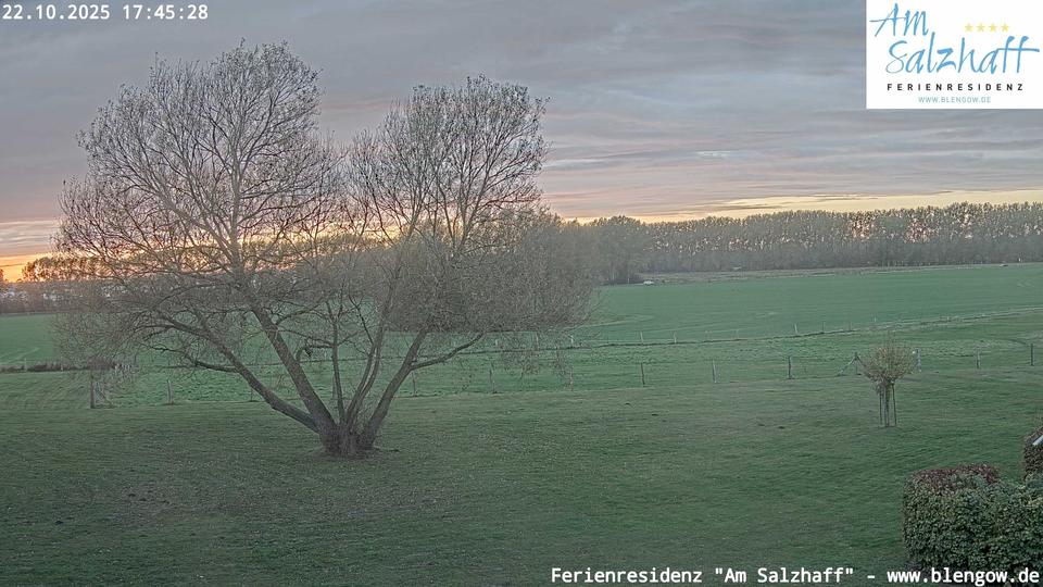 Webcam live 