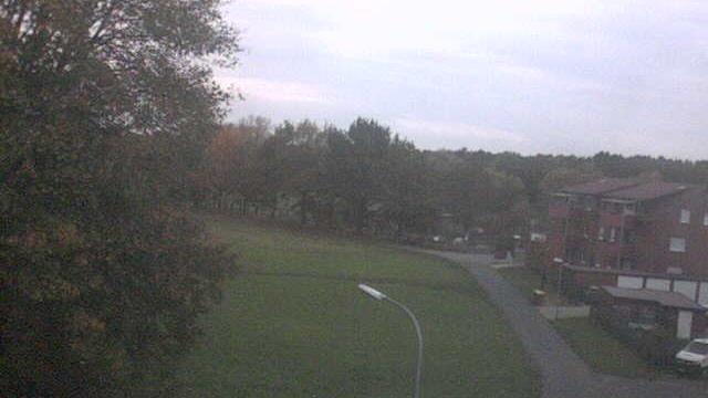 Webcam live 