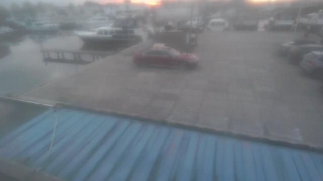 Webcam live 