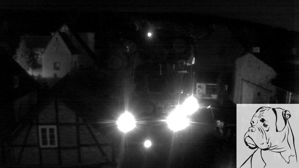 Webcam live 