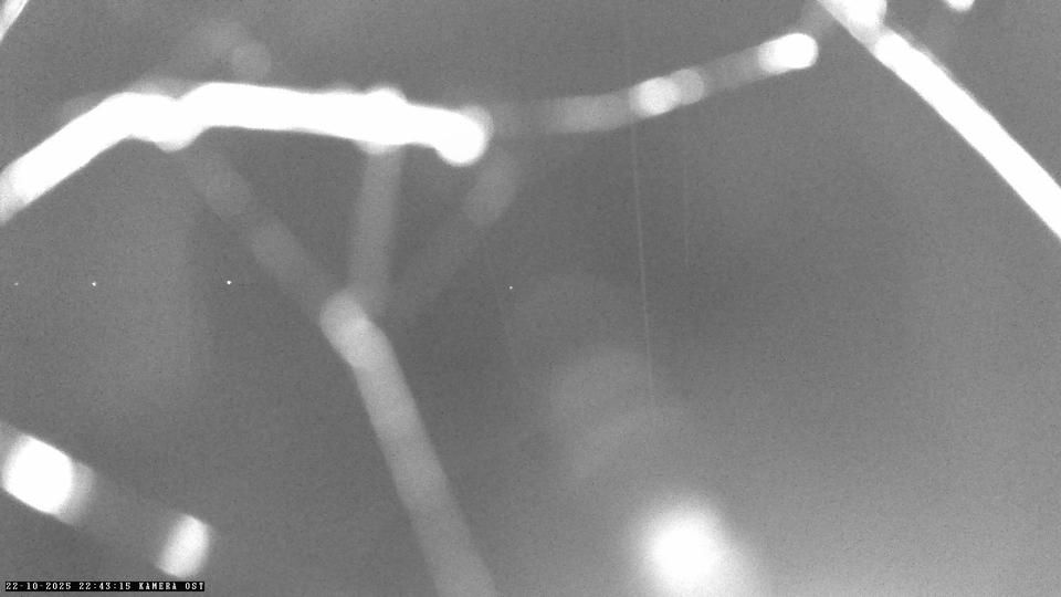 Webcam live 