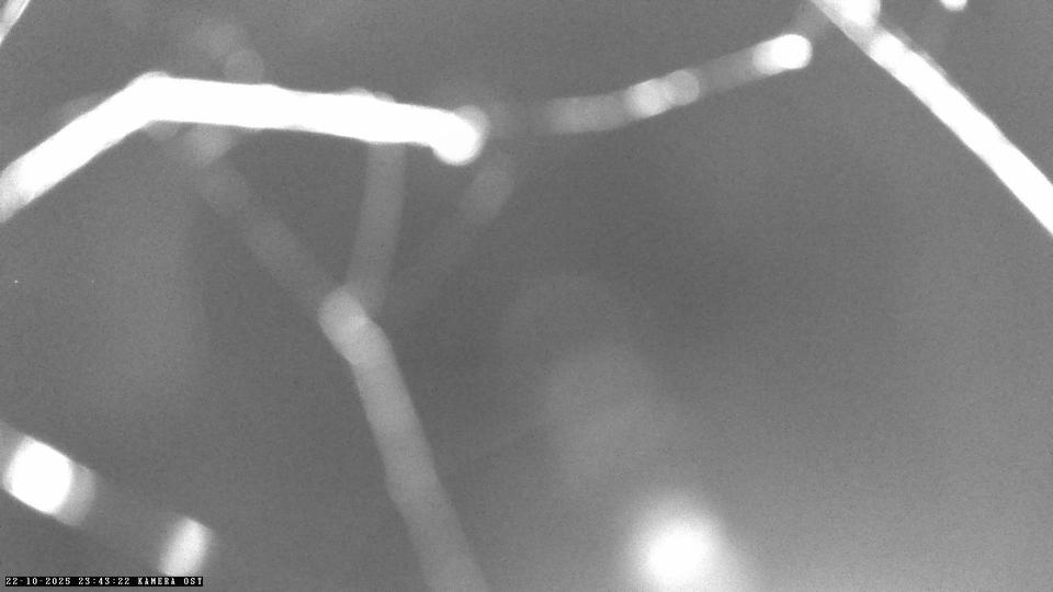 Webcam live 