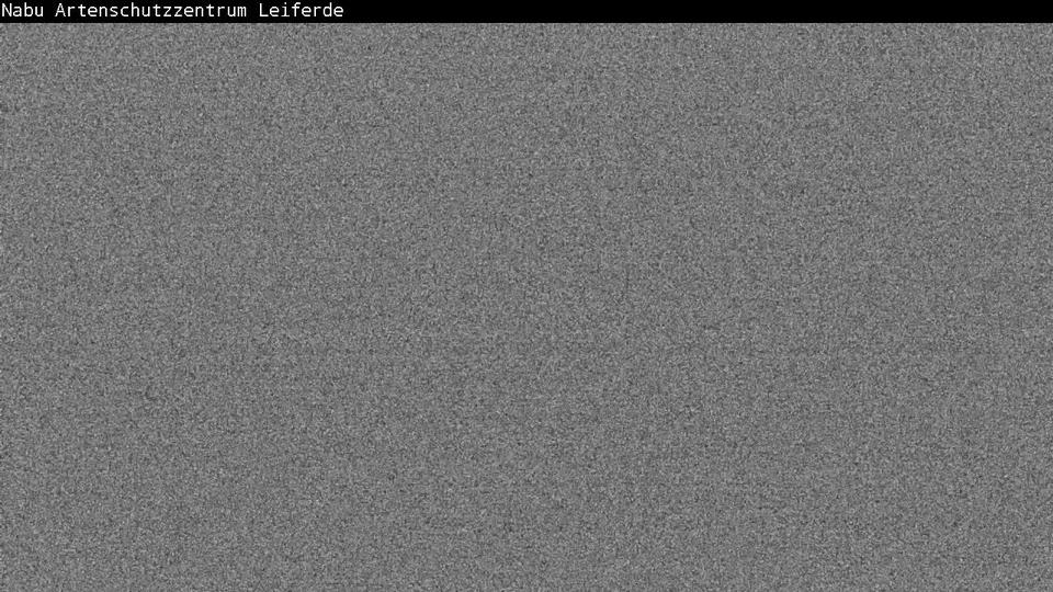 Webcam live 