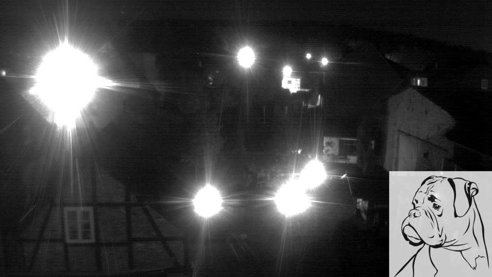 Webcam live 