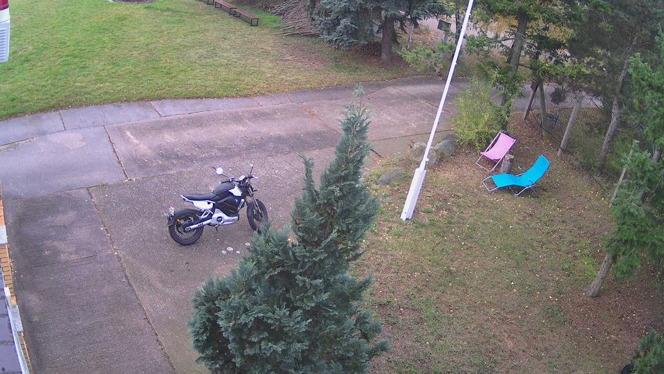 Webcam live 