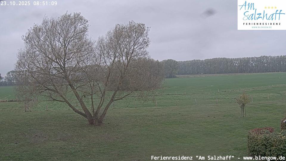 Webcam live 