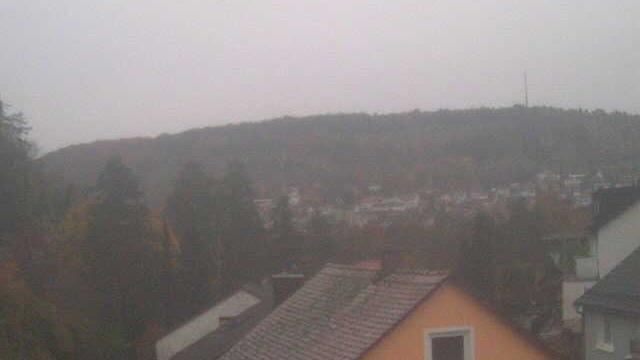 Webcam live 