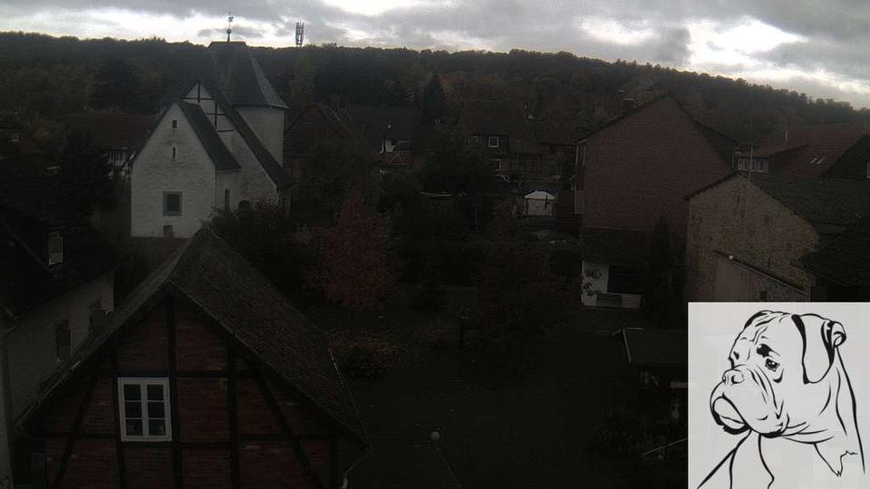 Webcam live 