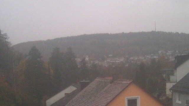 Webcam live 